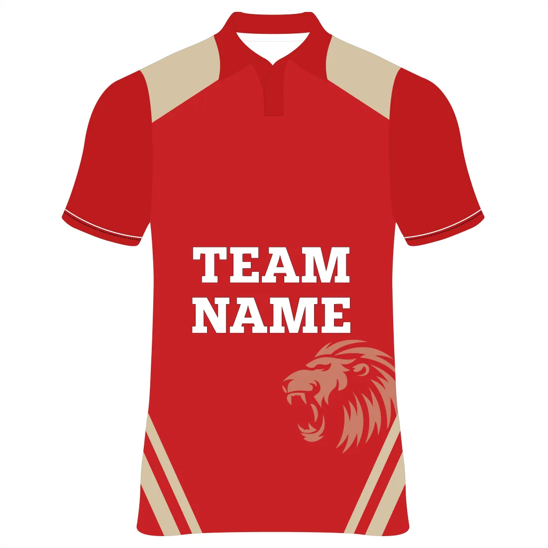Next Print Punjab Custom Cricket Jerseys NP060000